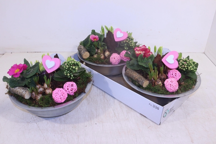 <h4>ARR PL IN SCHAAL</h4>