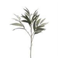 <h4>Mango leaf spray dusty green 76cm</h4>