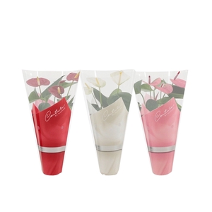 Anthurium 3 color mix in Couture sleeve