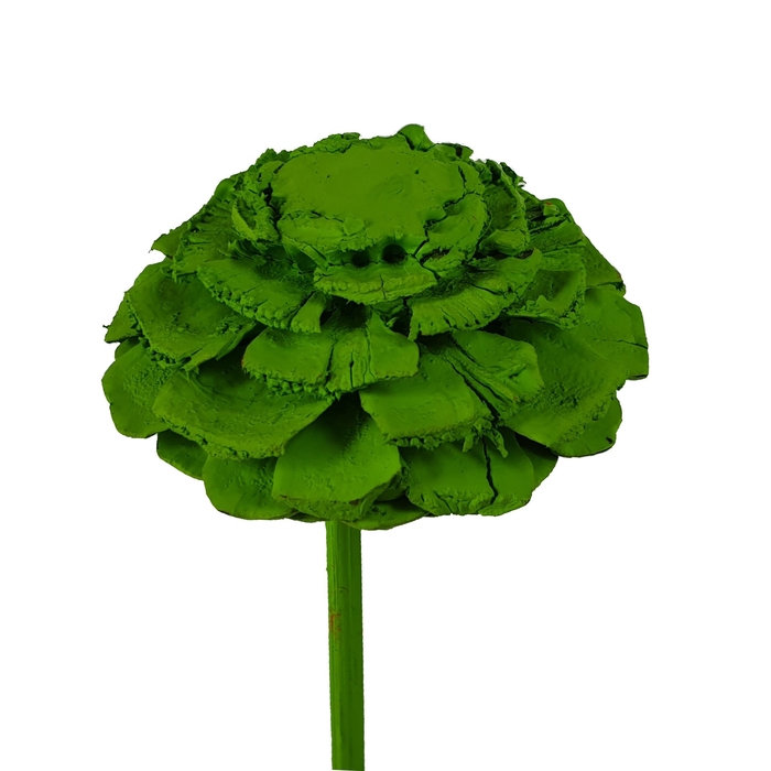 Pine cone cut 5-7cm on stem Frosted Mint Green