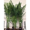 ** Artificial Howea F Ceramic Hydr * Spring Deal *