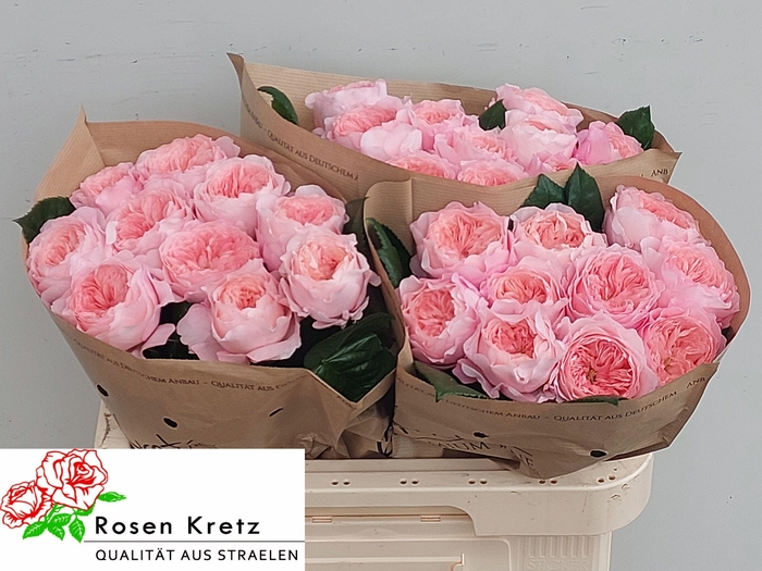 <h4>R GR MAYFIELD!</h4>