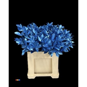 Ruscus Metallic Blue