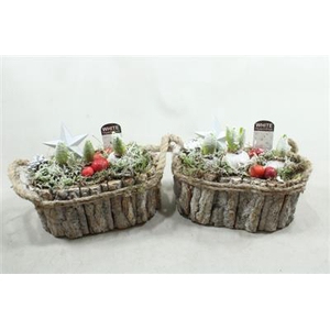 1151 SCHORS OVAAL X4 HYA