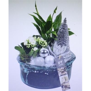 4366 ZILVER BLUE GLAS