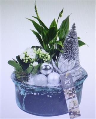 <h4>4366 ZILVER BLUE GLAS</h4>