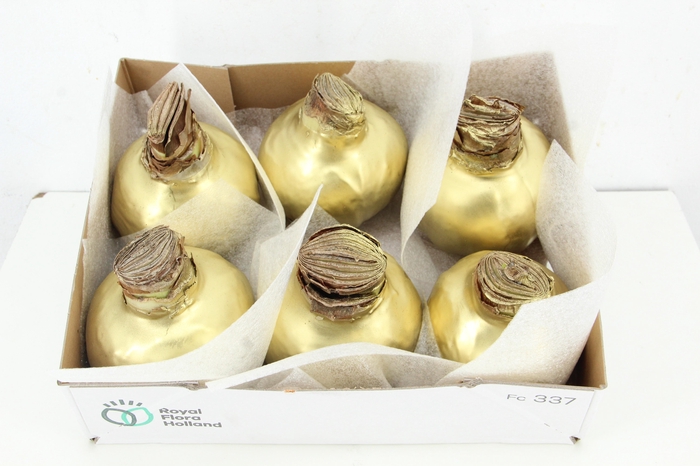 <h4>BOL HIPP WAX GOLD 36-38CM</h4>