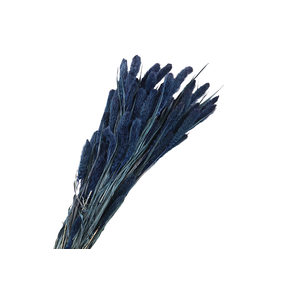 Setarea Pendula Blue Dark