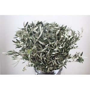 Olive 400gr P/b