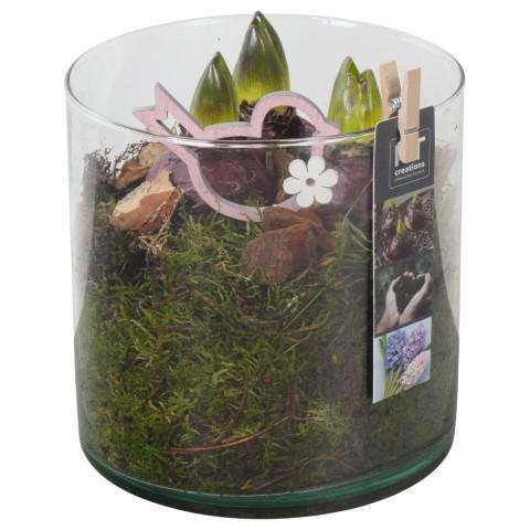 <h4>PTHC9203 Arrangement Hyacints in glas cylinder</h4>