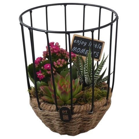 <h4>PTIB5277 Arrangement Indoor in touwmand met metaal</h4>