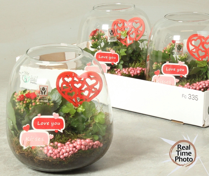 <h4>ARR KAMERPL</h4>