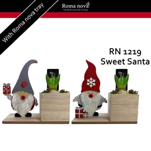 arr4 Hyacint RN1219 - Sweet santa