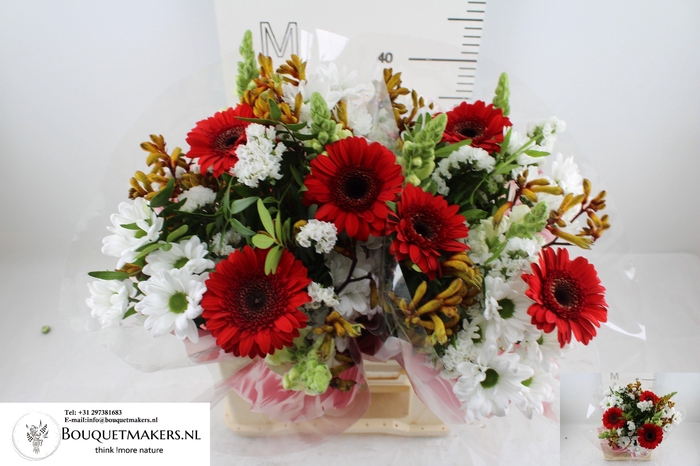 <h4>GEM BOEKET OV</h4>