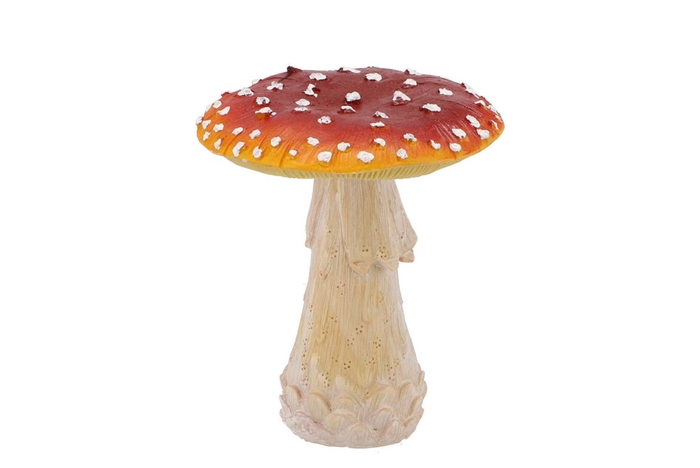 <h4>Mushroom Red 12x12cm Per 1</h4>