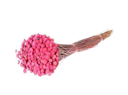 Bunch Batao Slv L55
