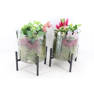 arr2 MB - Glas op standaart 338/6 - roze/wit