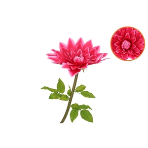 Silk Amazing Dahlia Beauty Fuchsia Xxl 50x120cm