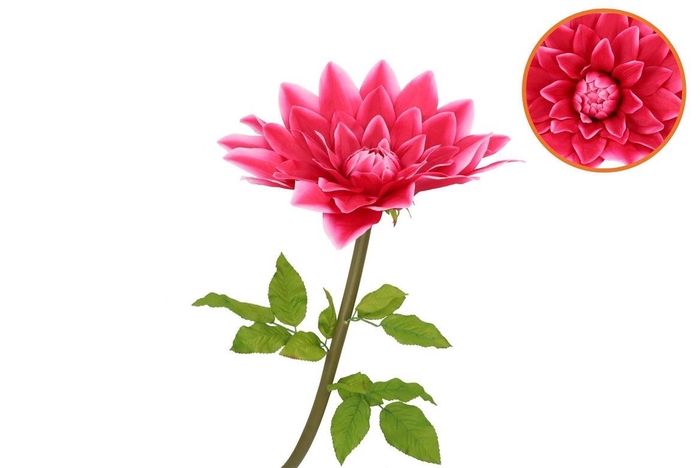 <h4>Silk Amazing Dahlia Beauty Fuchsia Xxl 50x120cm</h4>