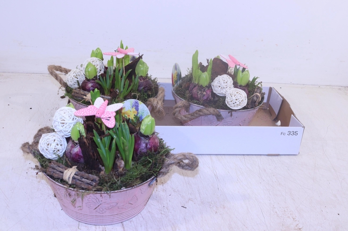 <h4>ARR BOL KNOLGEWAS</h4>