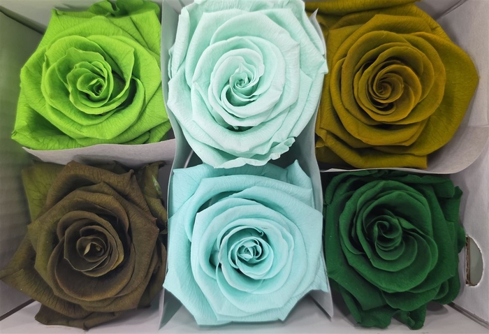 Ro Pres Classic Mix Green