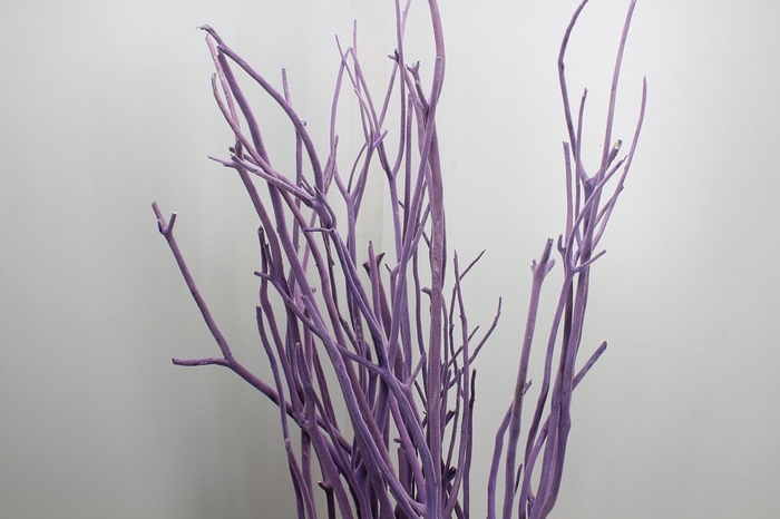 <h4>Deco Bundle Mitsumata Lilac 3 Pcs L115 X4</h4>