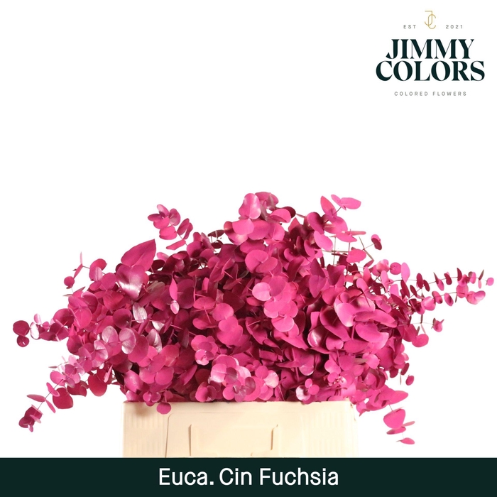 <h4>Cinerea per bos 200g Fuchsia</h4>