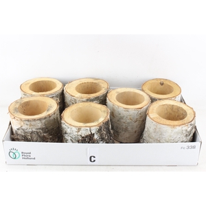 arr3 GB - Schors pot x7