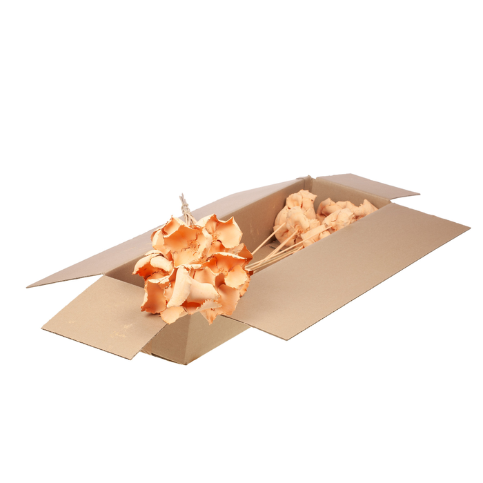 <h4>Palmcup O/s 10pc Sb Coral Misty</h4>