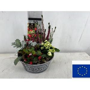 ARR TUINPLANTEN