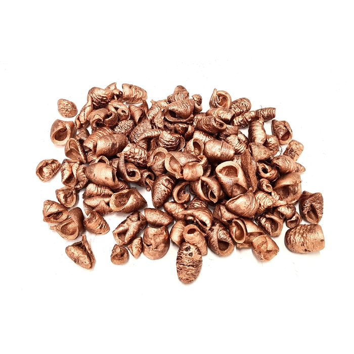 <h4>Lansunia petal 500gr in poly Copper</h4>