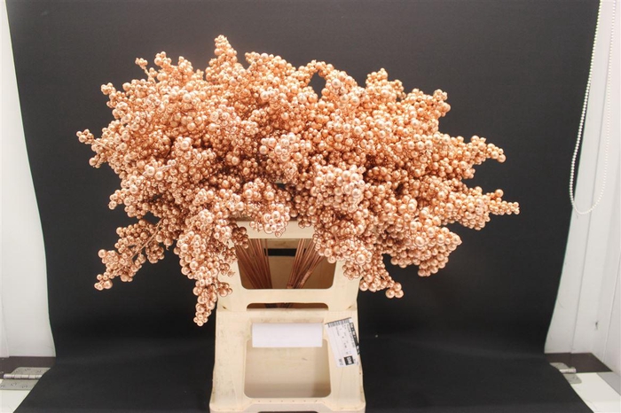 <h4>Bes Op Stok Koper</h4>