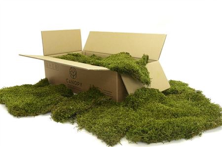 <h4>Long Moss Gepreserveerd Bulk Ca. 1,5 M2</h4>