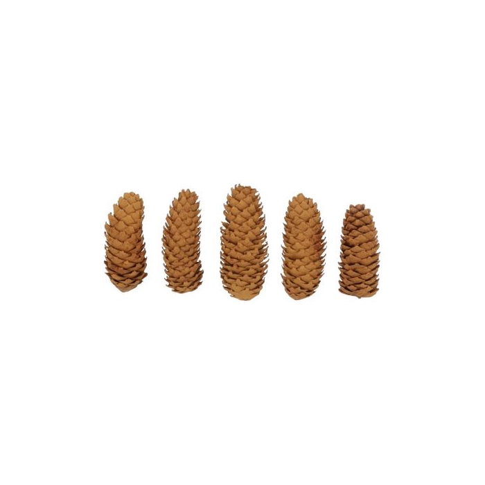 <h4>Pinecone Spruce Cinnamon 5 Pcs Slv L19W12H14</h4>