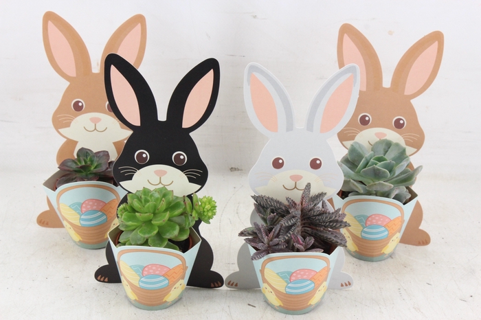 <h4>arr3 AD - Cardboard bunny figure x16</h4>