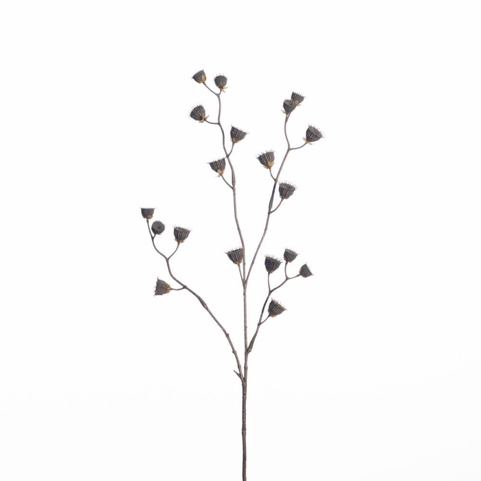 <h4>AF Abutilon sd spray L83cm nat</h4>