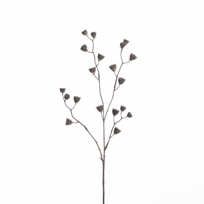 <h4>AF Abutilon sd spray L83cm nat</h4>