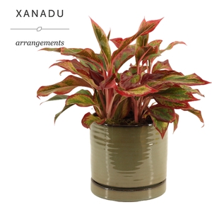 Xanadu Las Vegas