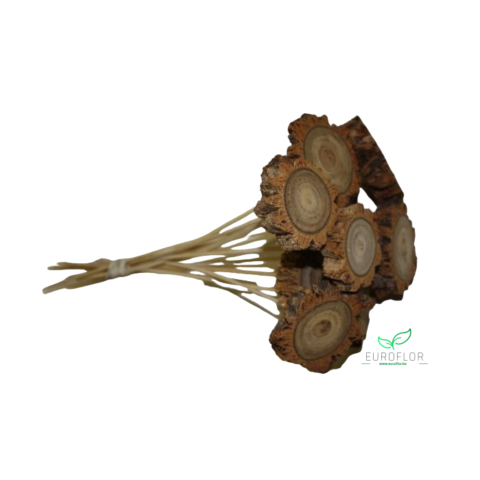 <h4>ESTRELLA ON STICK 30cm 10pcs</h4>