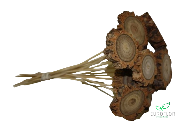 ESTRELLA ON STICK 30cm 10pcs