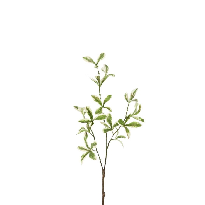 <h4>Kunstbloemen Green leaf 80cm</h4>