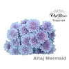 CHR T ALTAJ MERMAID