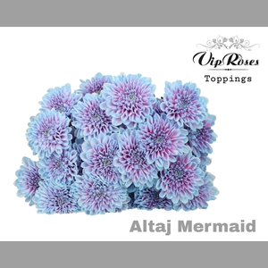CHR T ALTAJ MERMAID