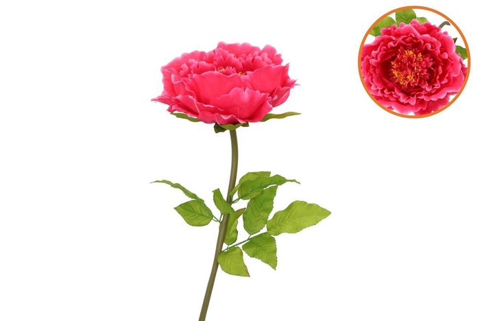 <h4>Silk Amazing Peony Beauty Fuchsia Xxl 48x128cm</h4>