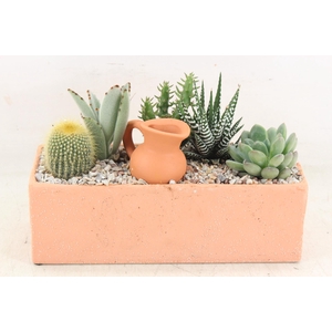 arr2 UB - Terra cotta rechth. L x4