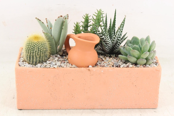 <h4>arr2 UB - Terra cotta rechth. L x4</h4>