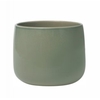 VASO BRETAGNE MENTA D19 A15 IMP