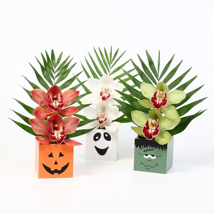 <h4>CYMB VERPAKT P BLOEM 1203</h4>