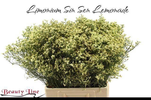 <h4>Lim Sin Sen Lemonade</h4>