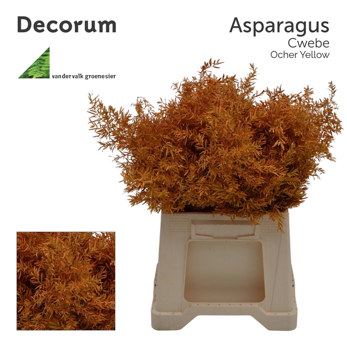 <h4>Asp cwebe Ocher yellow</h4>